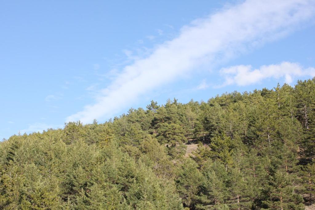 Albergue Camarena De La Sierra Zewnętrze zdjęcie