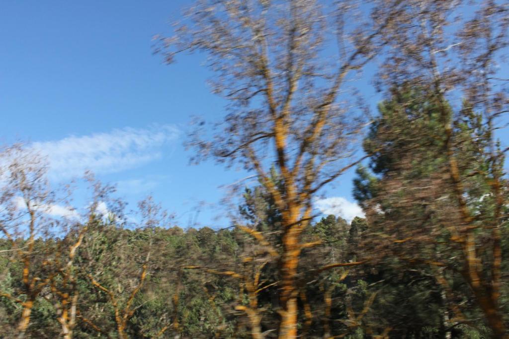Albergue Camarena De La Sierra Zewnętrze zdjęcie